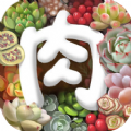 多肉植物app手机版软件下载 v2.6.5