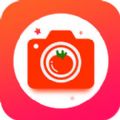 番茄相机app下载 v1.0